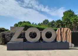 Ingressi gratuiti allo ZOOM di Cumiana